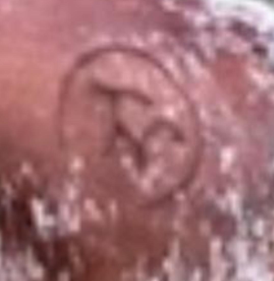 Atencion. Hombres armados ingresaron a la Hacienda Bellavista ubicada en Santa Catalina (Bolivar) amarraron al capataz y se llevaron un camión con ganado, los hierros del ganado en las imágenes.  Solicitamos ayuda de <a href="/CarabinerosCol/">Carabineros de Colombia</a> <a href="/GaulaPolicia/">GAULA POLICÍA</a>