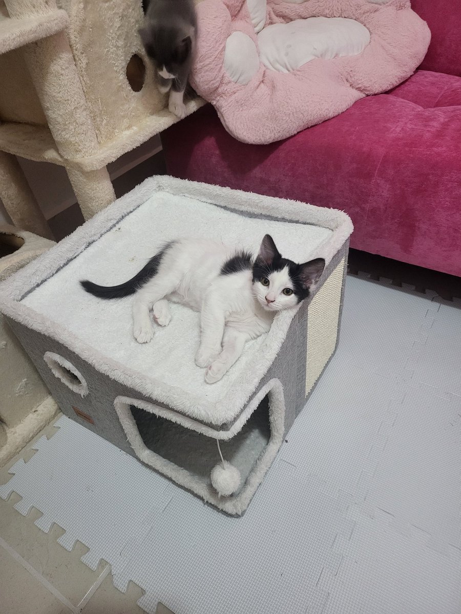 A la madre, están enormes