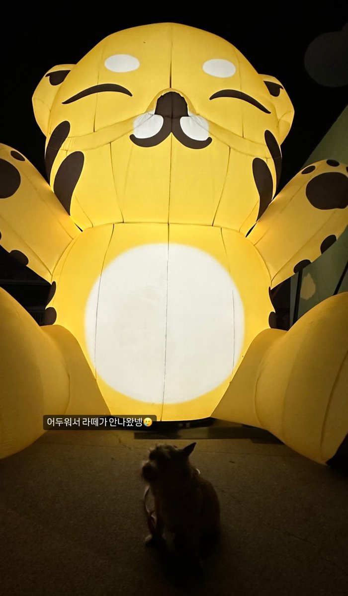 peyt ☻ (misis ni wonwoo real) tweet media