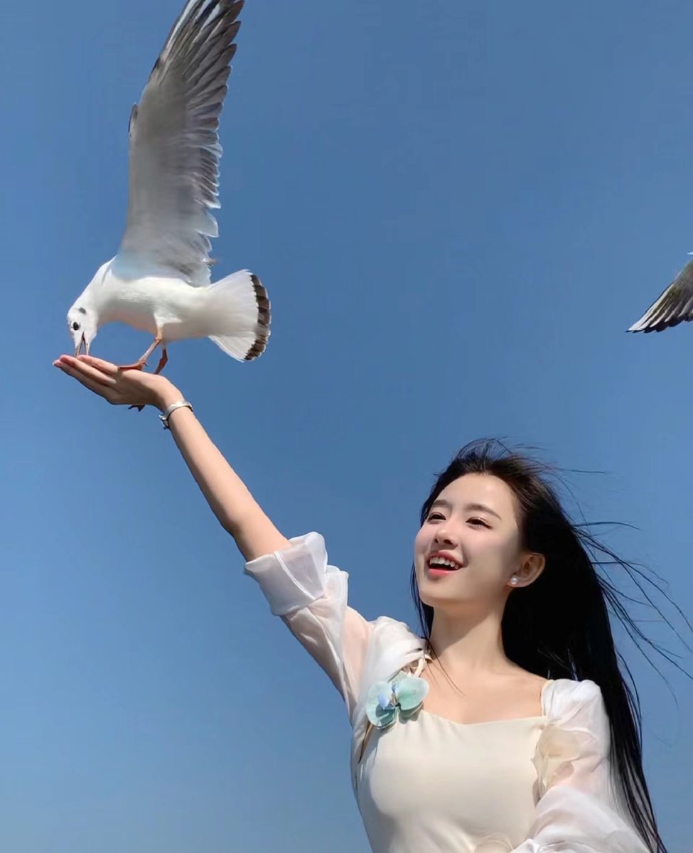 胡好🇨🇳（互关互粉互fo） tweet media