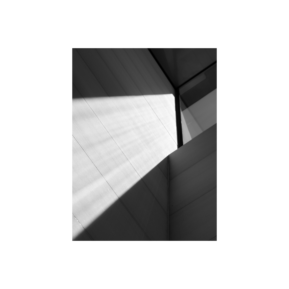 Haolun Yang tweet media