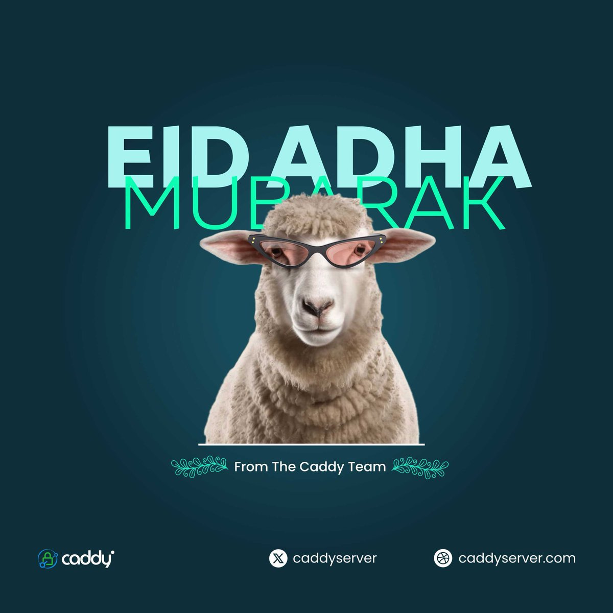 caddyserver's tweet image. 