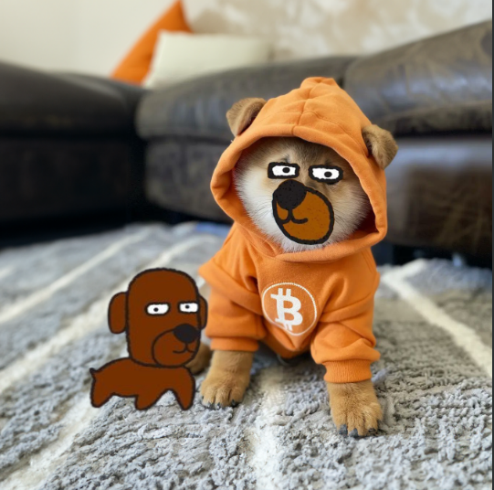 Hey $DOG, you've been Waltered.