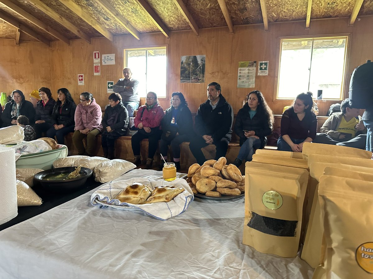 Gobierno de La Araucanía tweet media
