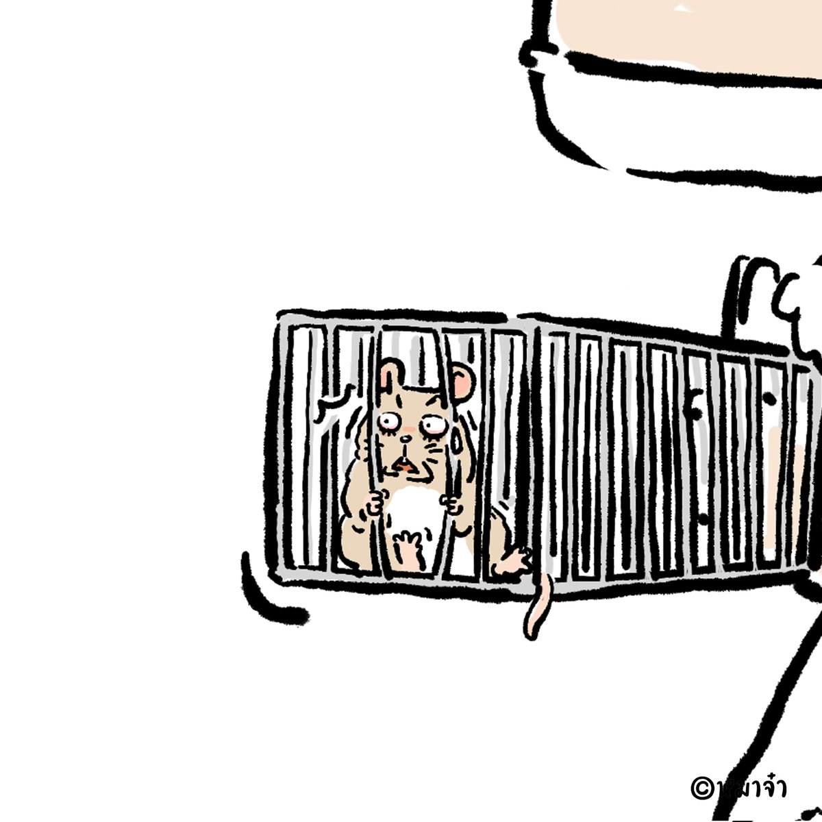 dogplease2013's tweet photo. #หมาจ๋า #dogplease https://t.co/FdS7rEoTSr