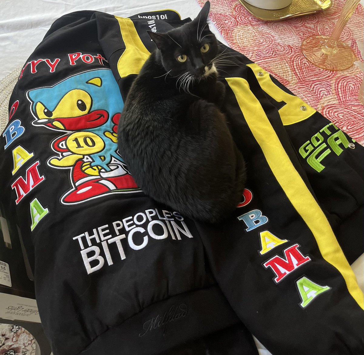 Ebitduhhh1's tweet photo. The market cap of cat coins is extremely undervalued #hpos10inu #harrypotterobamasonic10inu #BITCOIN https://t.co/1qP4QRG8tx