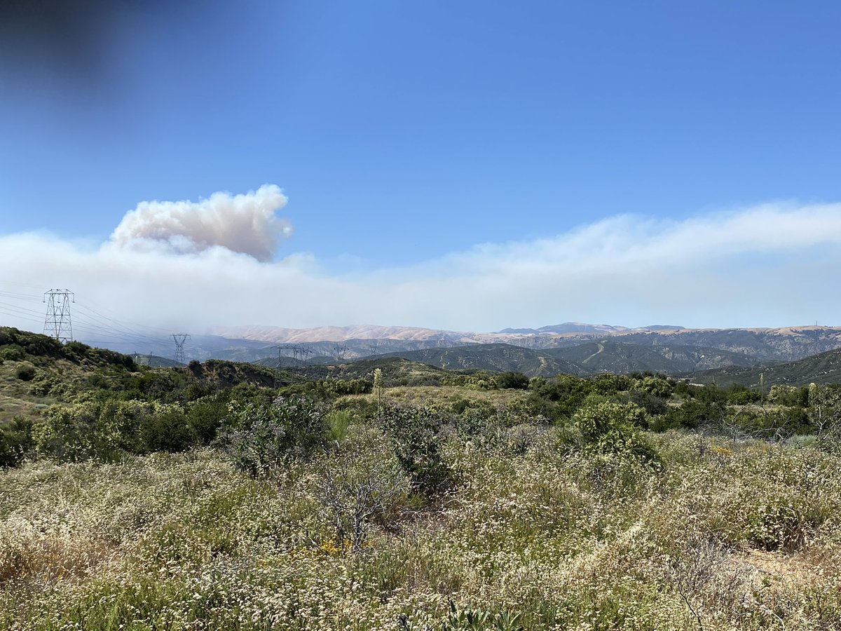MatthewABerdyck's tweet image. The Gorman #PostFire is now at 2000+ acres @barkflight @watchdutyapp #lebec #gorman #pyramidlake #frazierpark #fire #CAwx #wx