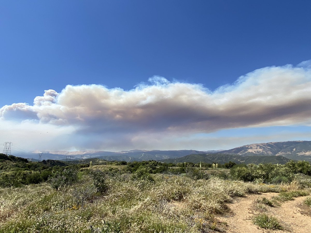 MatthewABerdyck's tweet image. The Gorman #PostFire is now at 2000+ acres @barkflight @watchdutyapp #lebec #gorman #pyramidlake #frazierpark #fire #CAwx #wx