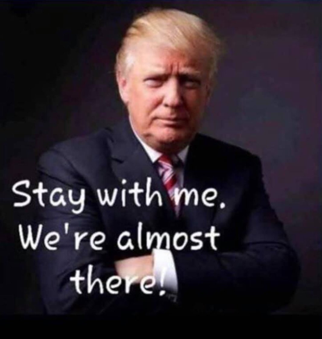 catnap1013's tweet photo. #YesYourVoteCounts
#NoRedWaveTALK https://t.co/LTpBKdpoD6