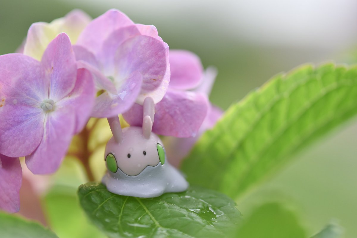 ちょっぴり雨が恋しいね☔️