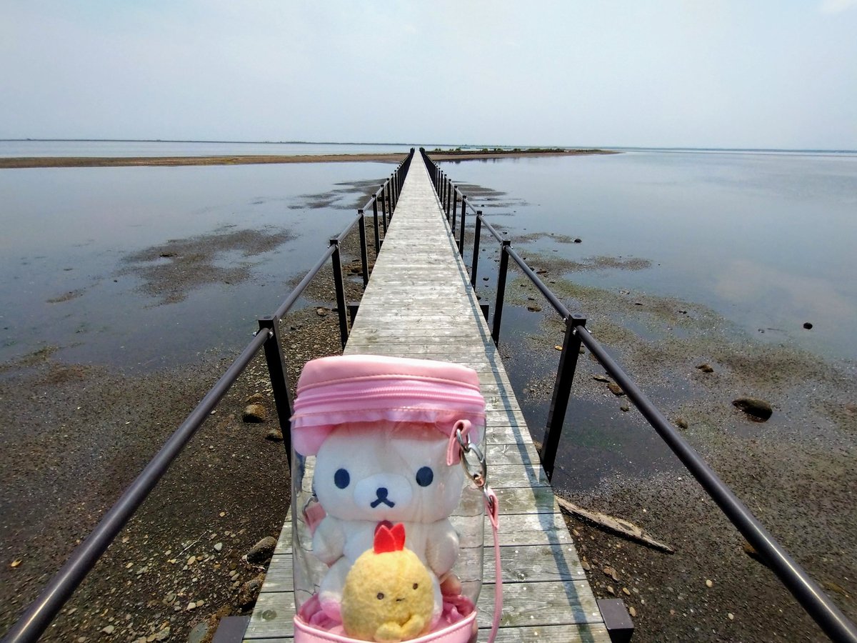 cha_bo_zu's tweet photo. 野付半島を散策してきました♪
砂嘴(さし)と呼ばれる地形で、ここでしか見られないであろう景色に圧倒されました(´ｰ｀) https://t.co/0wPHAVGCKF