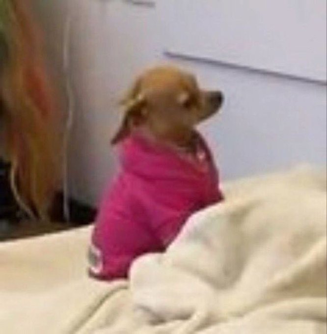 eu tava numa fase super caseiro e sem beber &aacute;lcool, da&iacute; eu conheci o Mois&eacute;s https://t.co/VIvTYPWXwM<a href="/tag/votelgbtq"class="tags"><span>#votelgbtq</span></a>