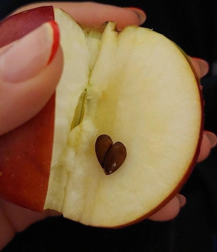 - Mensajito para <a href="/ResEtVerba/">Amitiel</a>  - 

📱 Ami ❤️‍🩹

💬: Estaba comiendo una manzana  y encontré una pepita en forma de corazón.  

-Inserta foto -