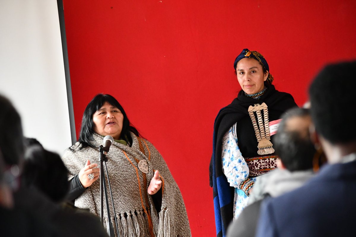 Más de cien personas participaron en un nuevo Diálogo Intercultural en la región de Los Ríos. La Comisión Presidencial para la Paz y el Entendimiento continúa recibiendo propuestas y gestando consensos entre el pueblo mapuche y sociedad civil en las cuatro regiones de su mandato
