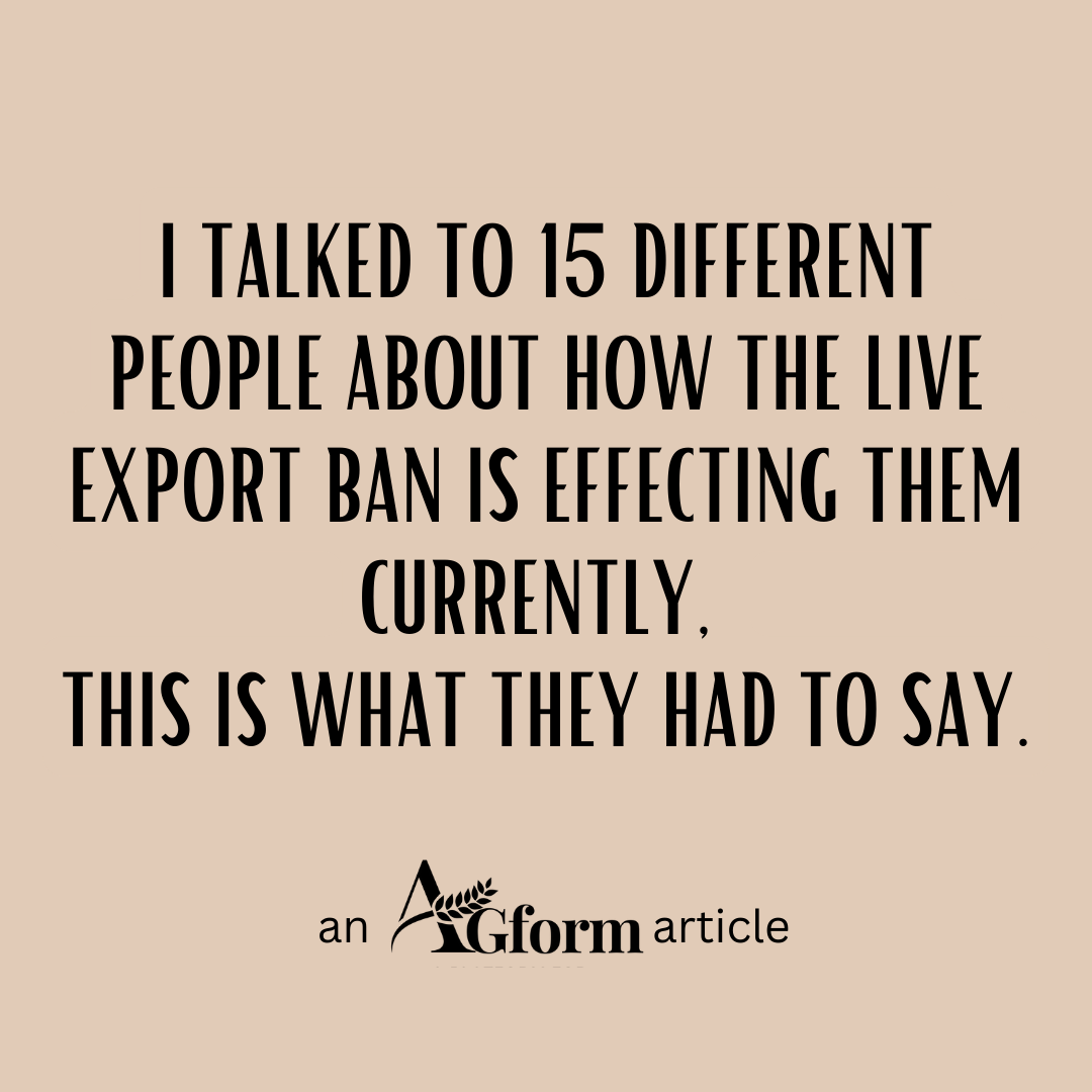 AGform ARTICLE: I talked to 15 people about how the live export ban is affecting them currently. This is what they had to say. 

#KeepTheSheep #AGform #AGformAU