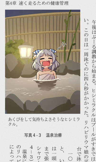 研究書とミラ子②

#ウマ娘 #ヒシミラクル 