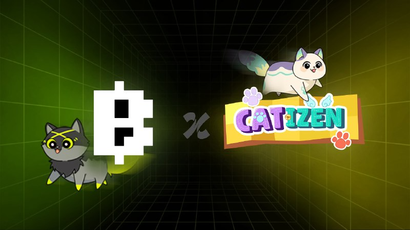 Catizen tweet media