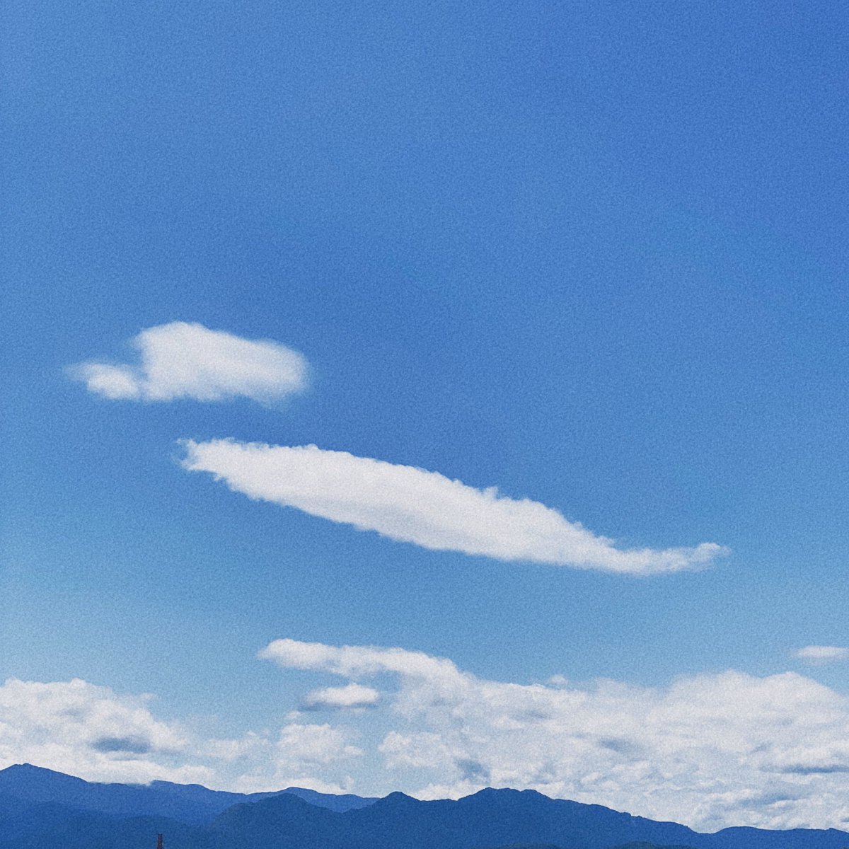 youralien⁷ tweet media