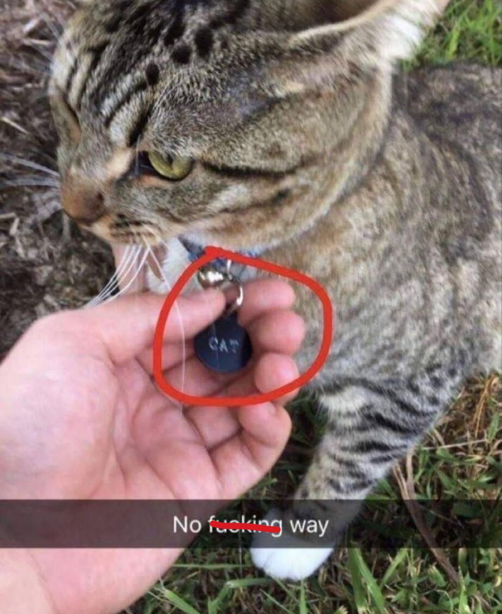 BroPosting_'s tweet image. It's fucking bro!