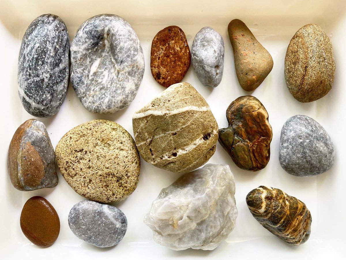 タカダミユキ on X