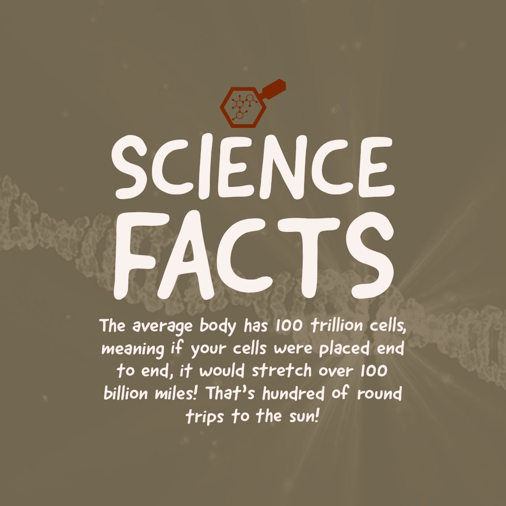 stevenratltner's tweet image. 🧠🧩
#braineducation
#brainbasics