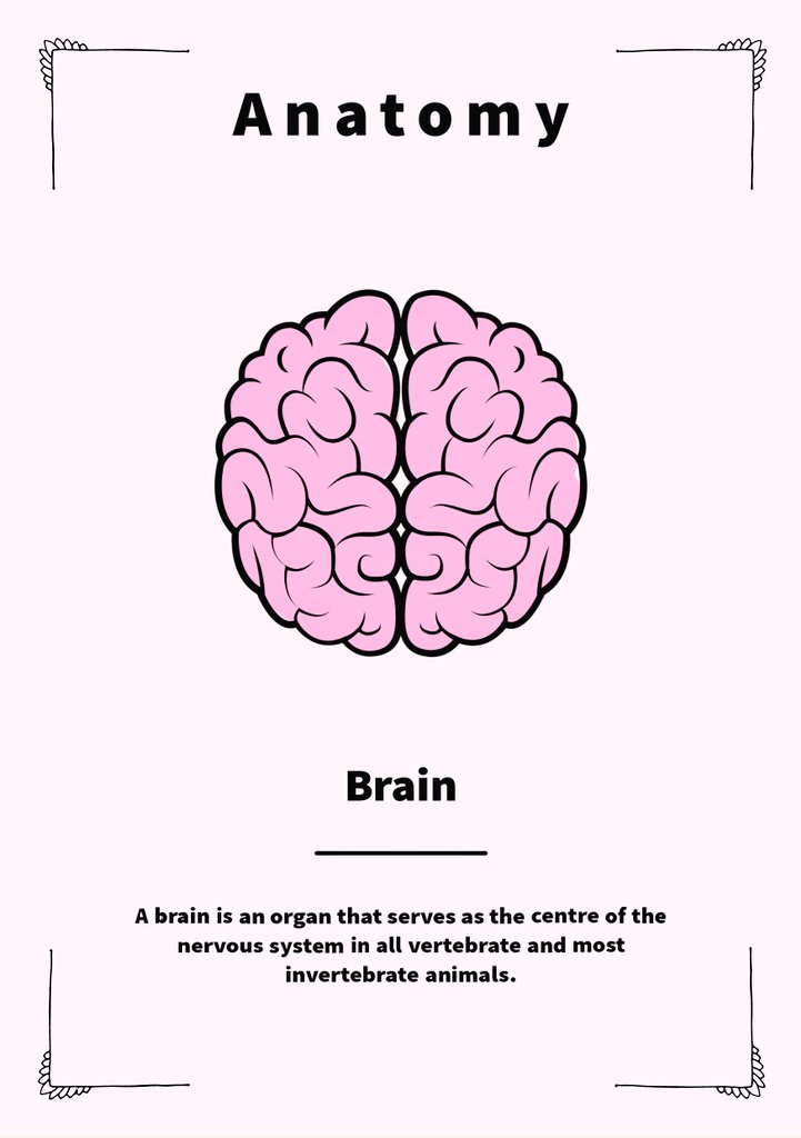 stevenratltner's tweet image. 🧠🧩
#braineducation
#brainbasics
