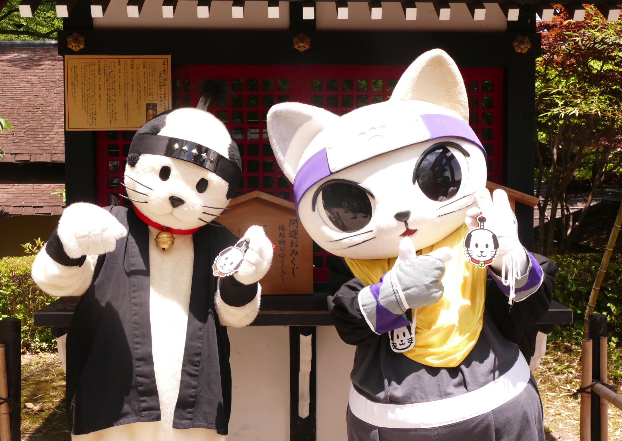 EDO WONDERLAND 日光江戸村 on X: 
