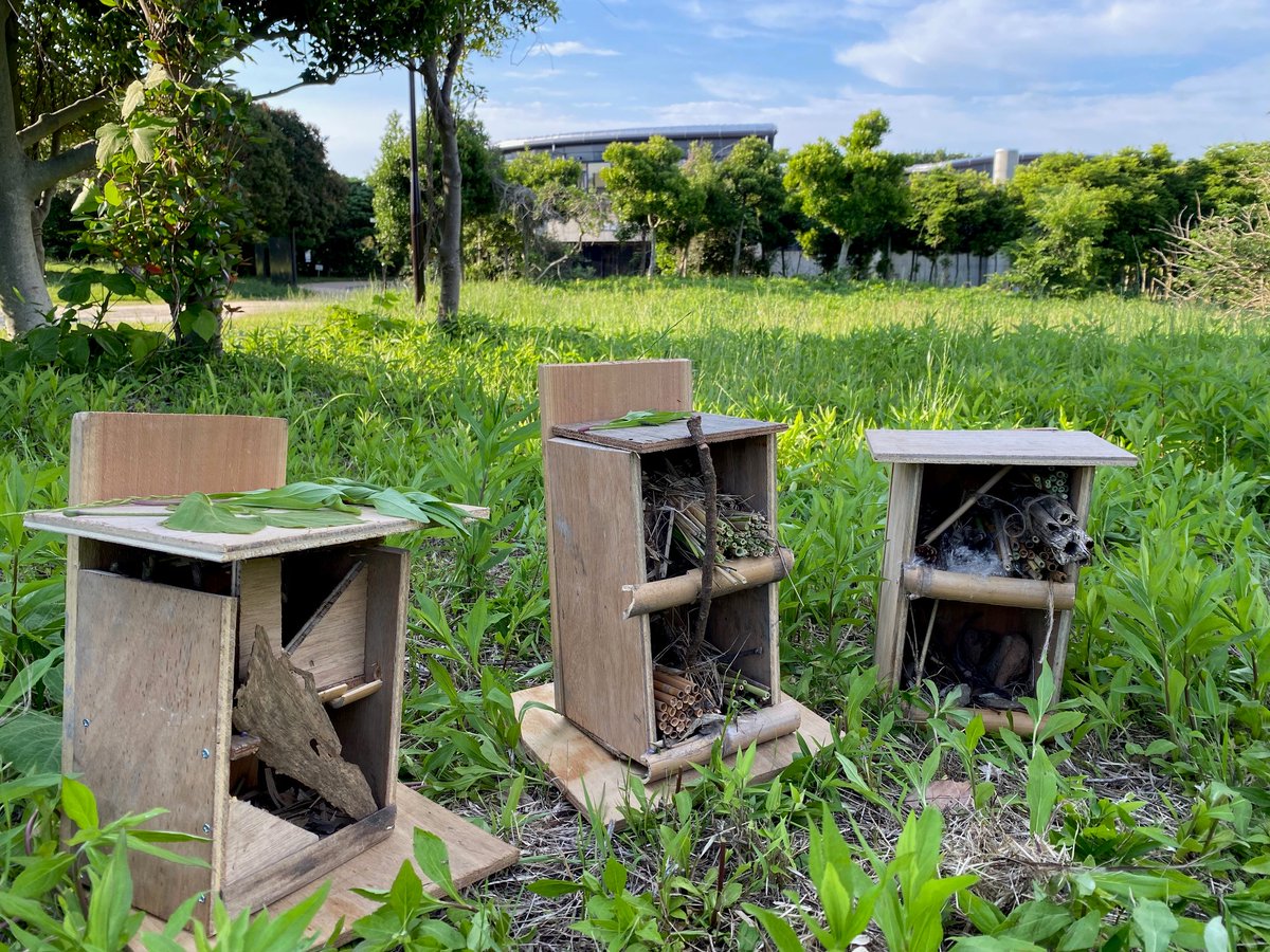 ParksKasai's tweet photo. 都内の中学生が職業体験に来てくれました!
鳥類園へ野鳥調査にGO🔭集めた情報をもとに「鳥の暮らせる環境」や「鳥と私、関係ある?」など展示ポスターを制作📝
午後は #インセクトホテル づくり🐞色々な虫が来れば鳥も来て、花の種も運ばれてくる。そんな願いを込めてくれました👏
#insecthotel https://t.co/AYNCTIpLAH