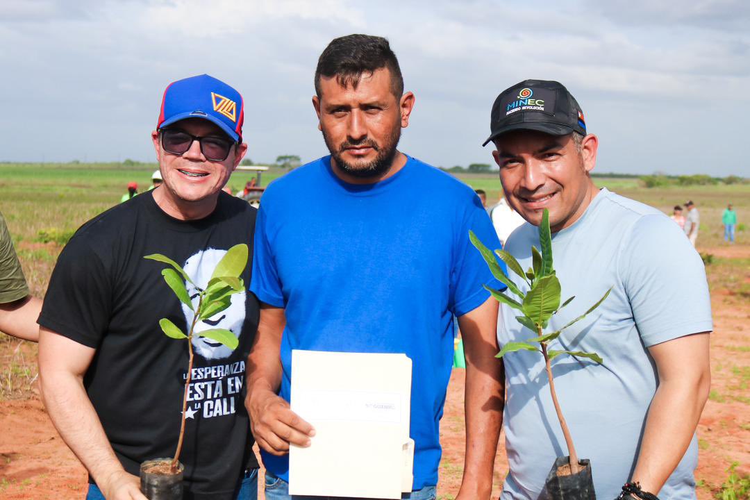 Desde <a href="/MinecOficial/">MinecOficial</a> a través de Conare y la empresa Eco Merey Group, entregamos en compañía del alcalde Ernesto Rodríguez, 12.500 plantas de merey a 16 unidades de producción familiar, sumando 200 ha. sembradas con la modalidad agroforestería familiar con el Plan Merey

abro hilo