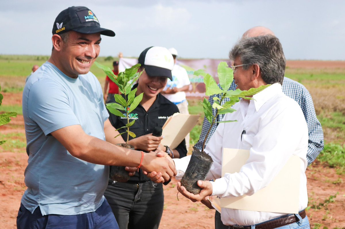 JosueLorcaV's tweet photo. Desde @MinecOficial a través de Conare y la empresa Eco Merey Group, entregamos en compañía del alcalde Ernesto Rodríguez, 12.500 plantas de merey a 16 unidades de producción familiar, sumando 200 ha. sembradas con la modalidad agroforestería familiar con el Plan Merey

abro hilo https://t.co/ruk5NvHIiB