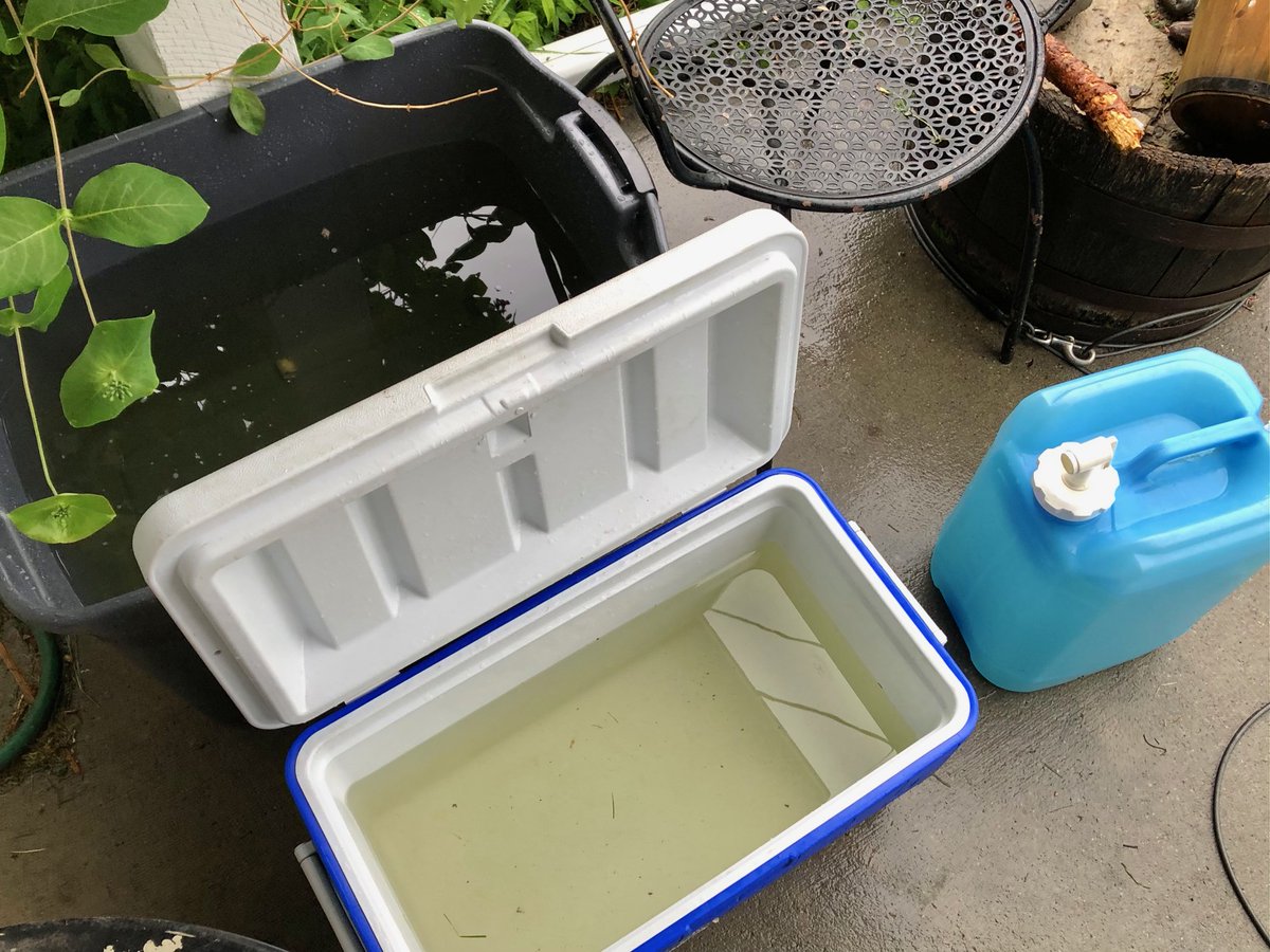 Blair Cosgrove 🌎🪐☮️ tweet media