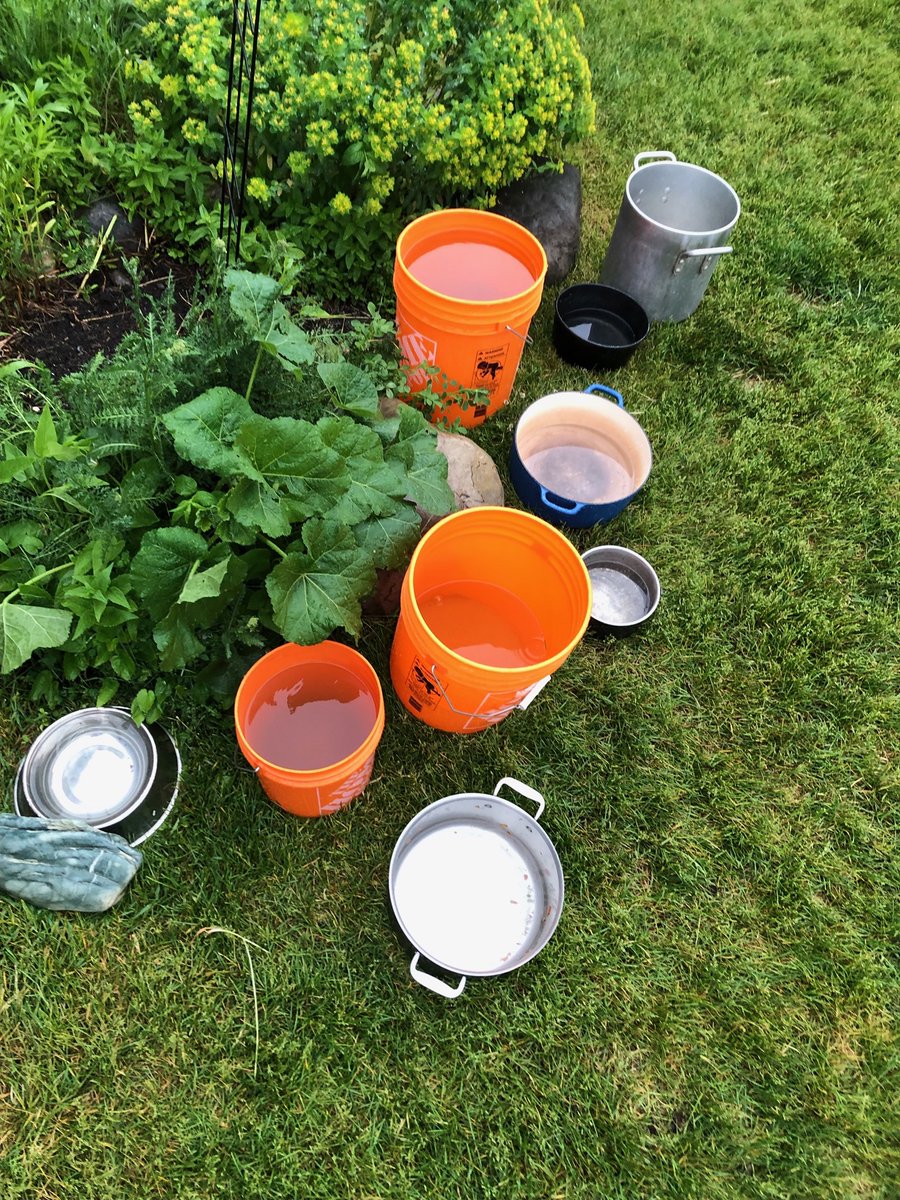 Blair Cosgrove 🌎🪐☮️ tweet media