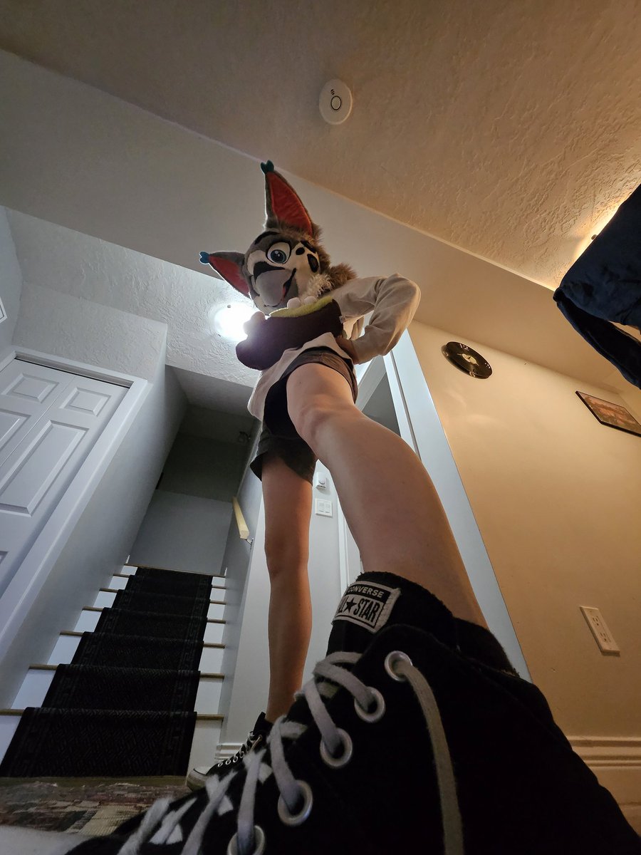 ∙☽ scruffy girlthing ☾∙ tweet media