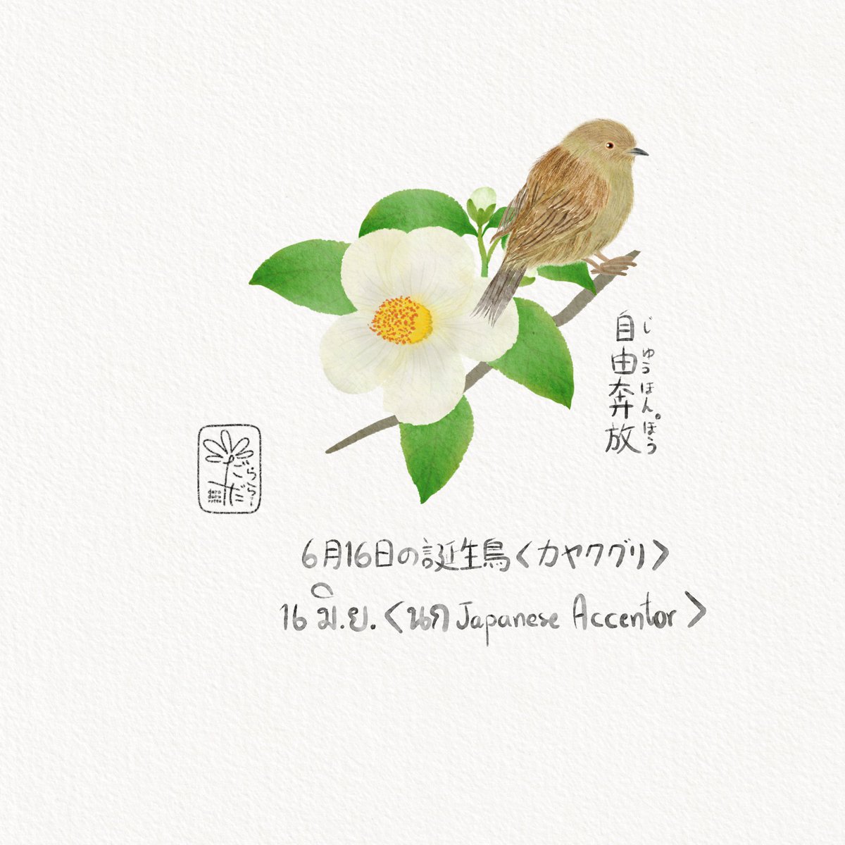 daradaRatto17's tweet photo. นกวันเกิด 16 มิ.ย."นกJapanese accentor”
"การทำตัวอิสระไม่อยู่ภายใต้กฏเกณฑ์"
6月16日"カヤクグリ"
"自由奔放(じゆうほんぽう)”
June 16th"Japanese accentor”
"Free and uncontrolled"

#Rattowith366days
#Rattoinjune https://t.co/U5PKL6f93G
