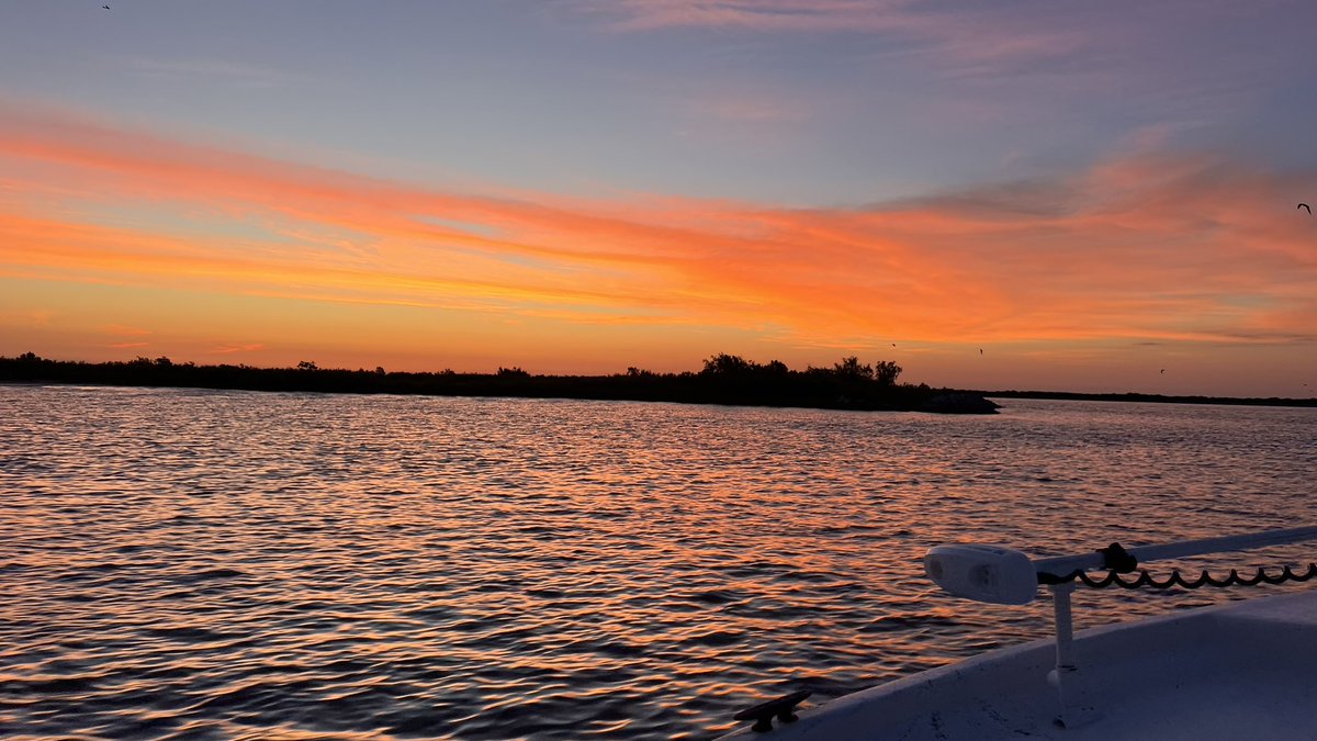 Ryan Roecker tweet media