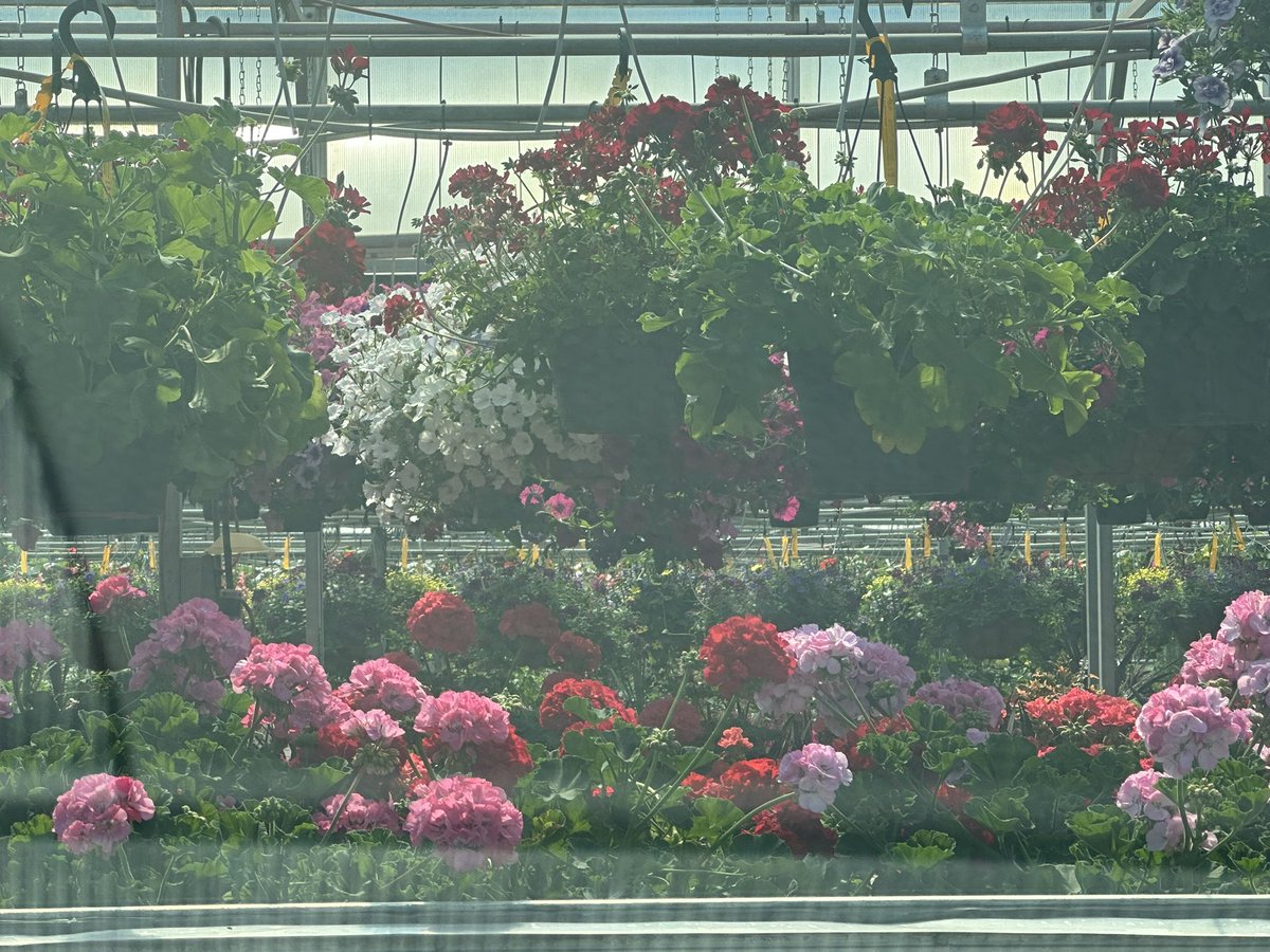 Tom Zarecki, MBA tweet media