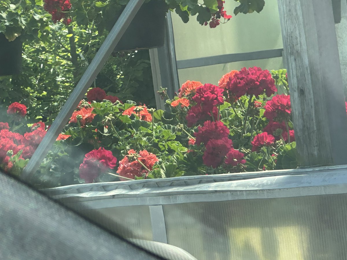 Tom Zarecki, MBA tweet media