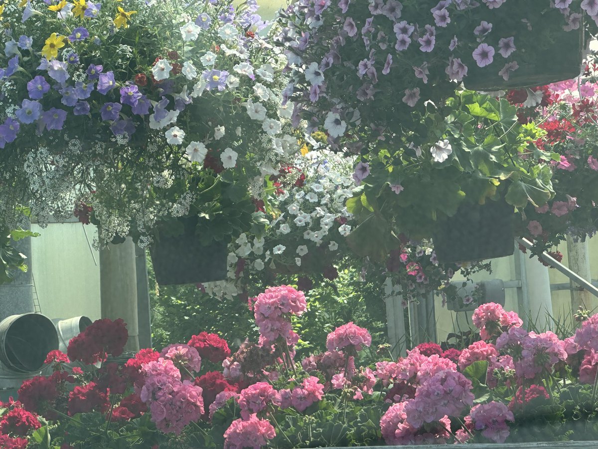 Tom Zarecki, MBA tweet media