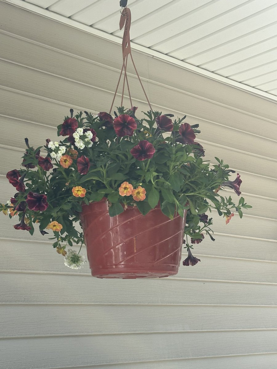 Tom Zarecki, MBA tweet media