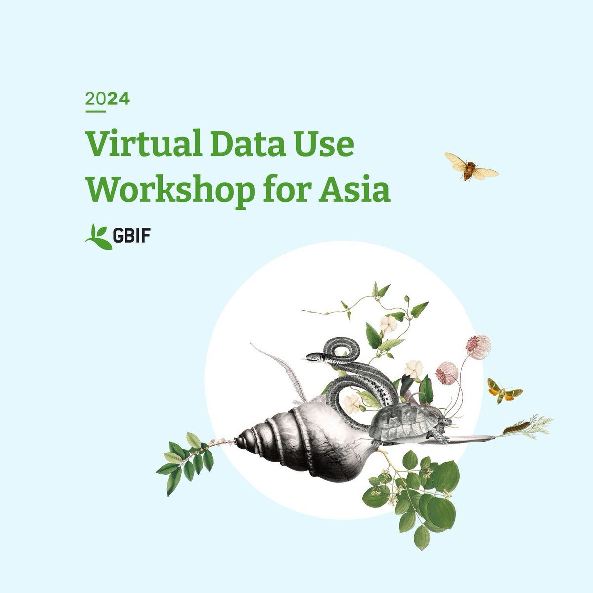 GBIF's tweet photo. Sign up for the Virtual #DataUse Workshop for #Asia to improve your skills in using GBIF-mediated data for research and policy! 

Topics include:
- #DarwinCore
- Data quality
- https://t.co/CJaPsifdp0
- GBIF APIs 
- GBIF data in R

Sign up before 23 June: https://t.co/RBO9tcWyOq https://t.co/p87sYgndky