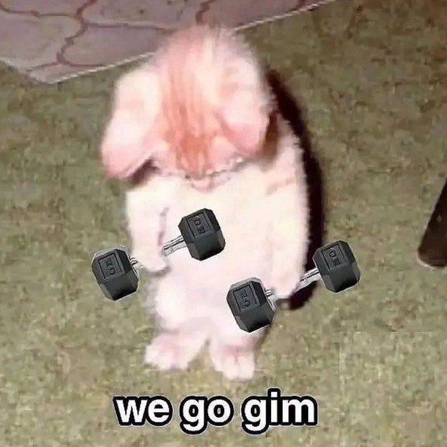 dyorwgmi's tweet photo. @Dior100x we gotta go the $gim to stay healthy https://t.co/RV2Np4jVFc