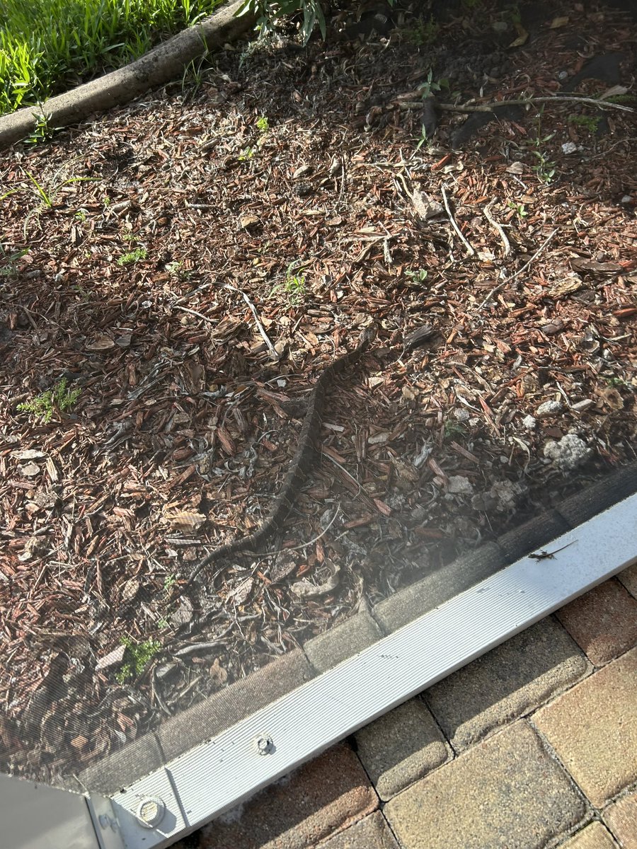 Talulla_S tweet media