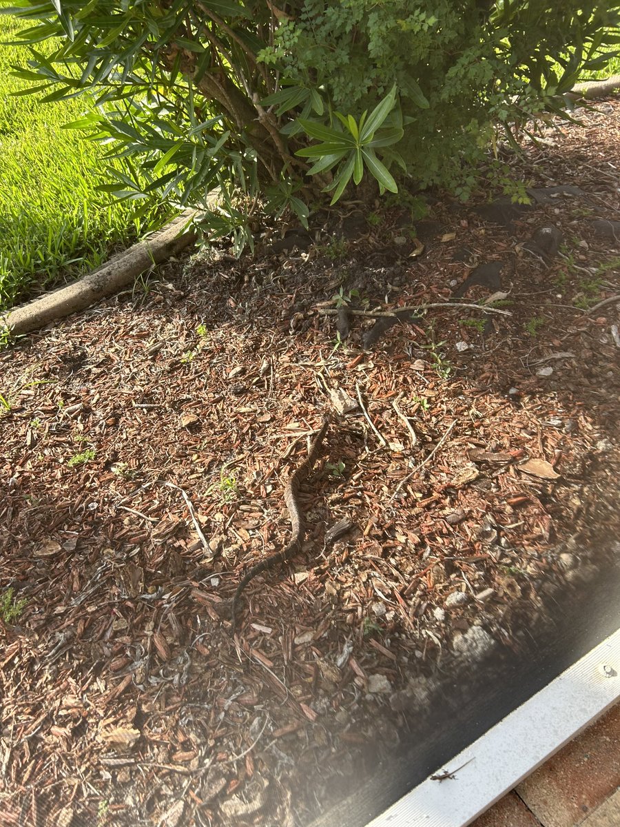 Talulla_S tweet media