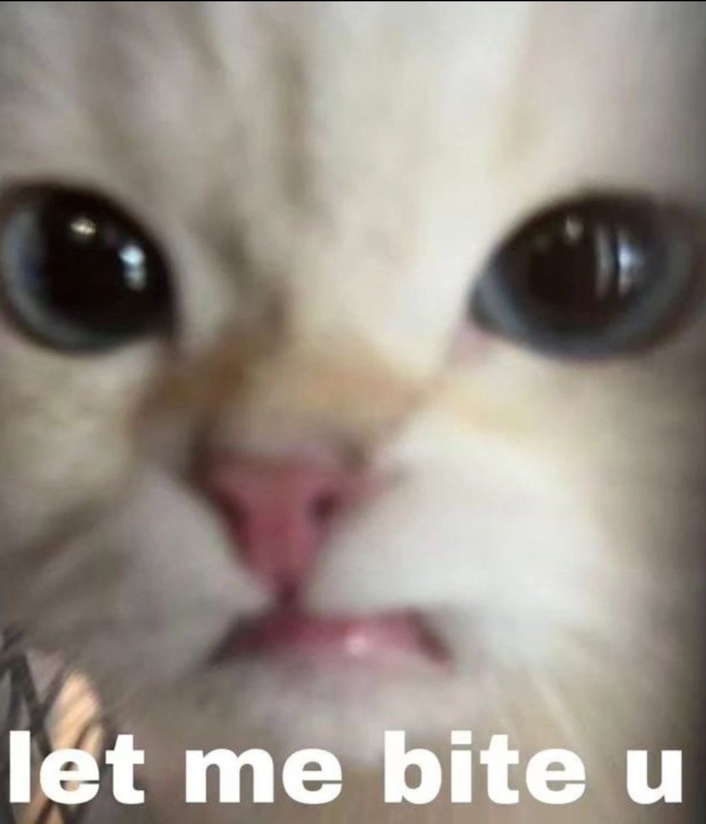 Catsillyness's tweet photo. https://t.co/46e0IG0vG8