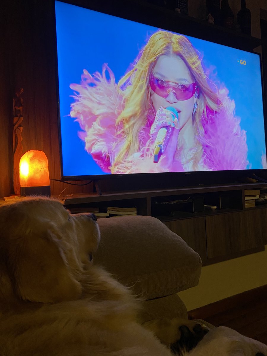 en esta casa hasta el perro ve el show del año!