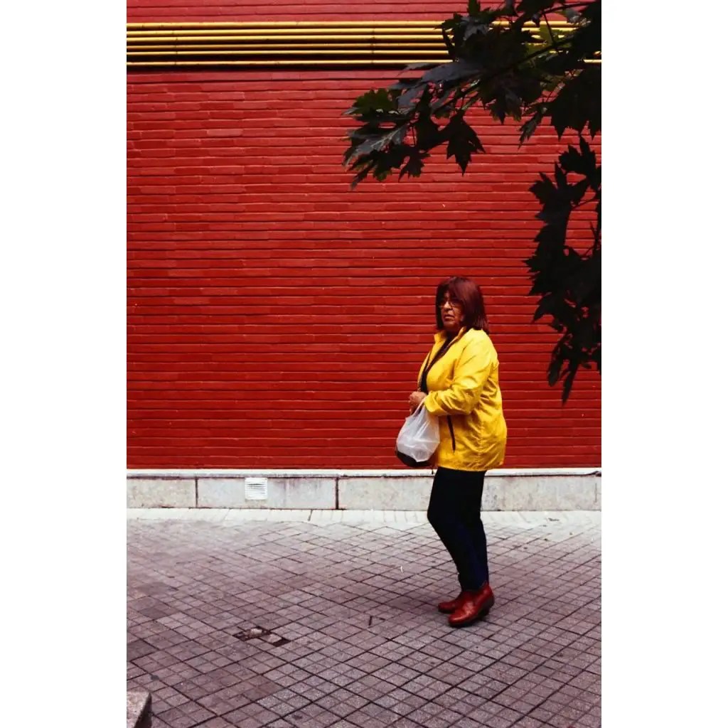 EMULSIVEfilm's tweet photo. #5FramesWith... @KodakProFilmBiz Pro Image 100 (35mm / EI 800 / Nikon F100) - by Sebastian Mas

Read on at: https://t.co/lkyTPyozMw

#shootfilmbenice, #filmphotography, #believeinfilm https://t.co/zXYObja3kE