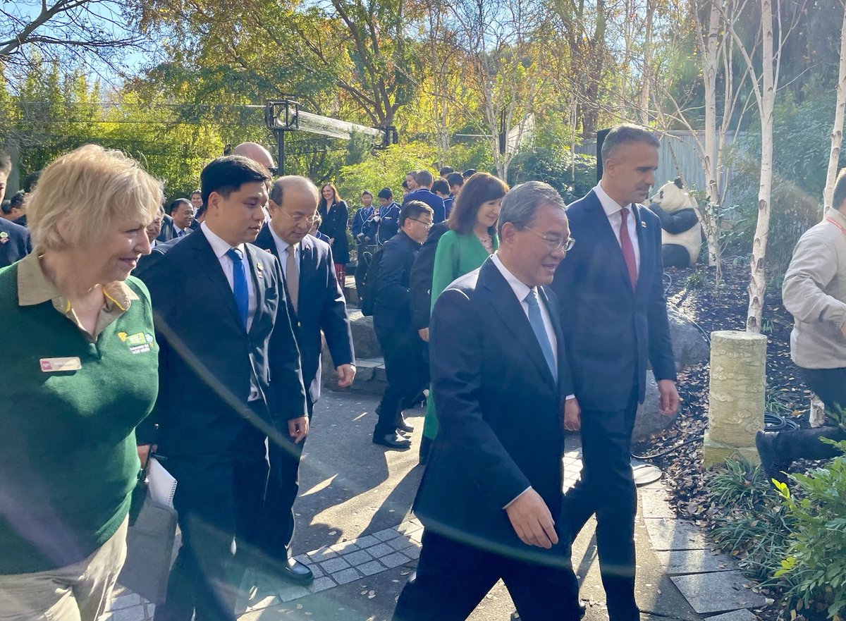 Peta Doherty tweet media