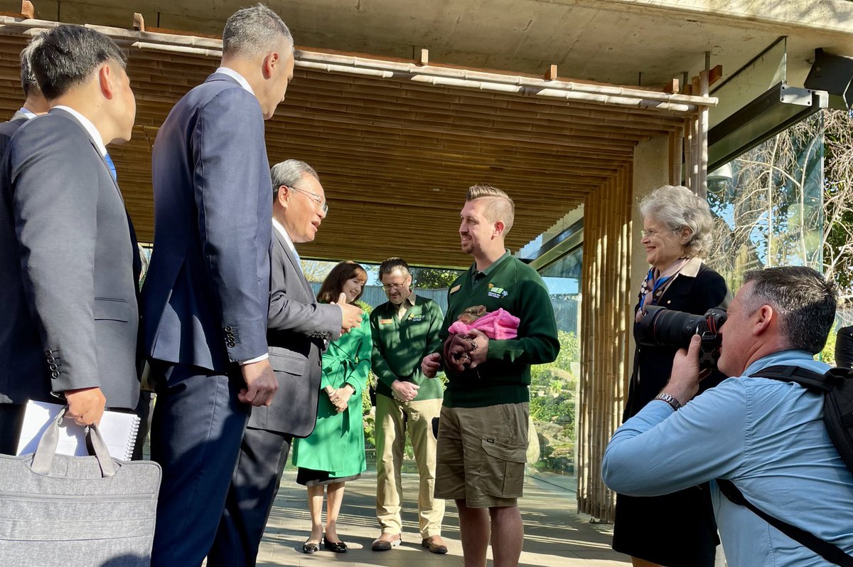 Peta Doherty tweet media