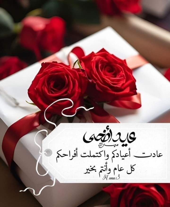 جبر الله قلوبكم فردًا فردًا، وحقق الله لكم كل دعوةٍ خرجت من أعماق قلوبكم وكل دعوة لم تستطيعوا ترتيبها لكن الله يعلمهاثبّت الله قلوبكم على دينه وحبه، وحُسن عبادته، ورزقكم من سعتهِ أضعاف ما تتمنون
ربنا اصلح حال  السودان 
وحفظ الله السودان وأهله 
عيد اضحى مبارك وكل عام و انتم بخير