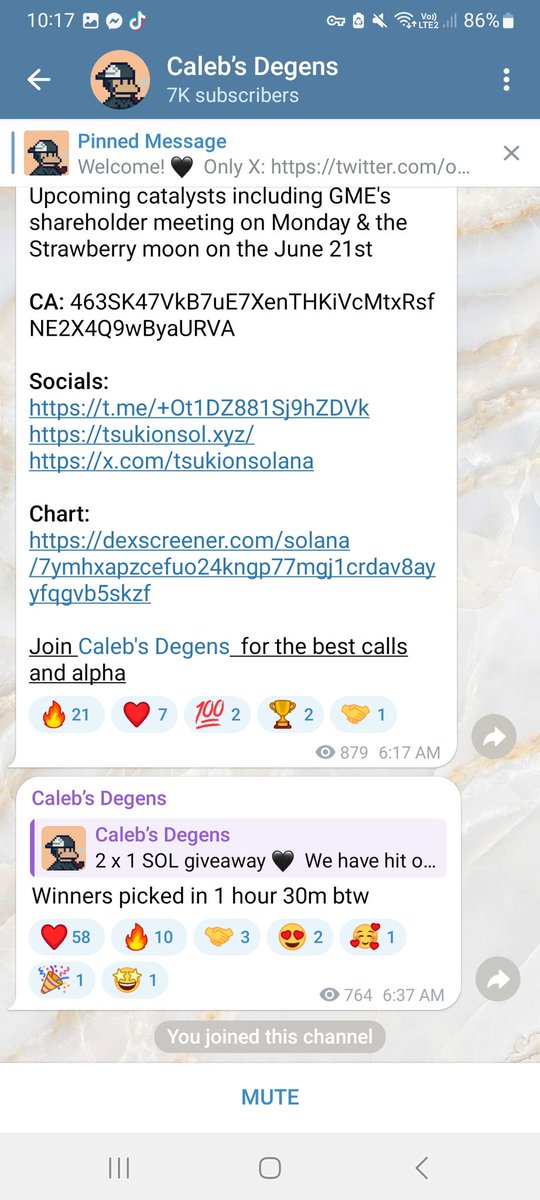 Athena_flora_'s tweet photo. @bunniefied https://t.co/mOgjWy7PpL